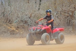 Los Cabos: Combo ATV/HORSEBACK Y OBSERVACIÓN DE BALLENAS