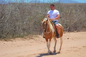 Los Cabos:Combo Rzr & Horseback riding or ATV tequilatasting