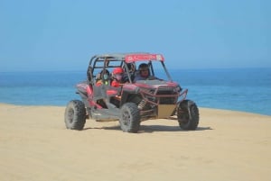 Los Cabos:Combo Rzr & Horseback riding or ATV tequilatasting