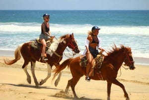 Los Cabos:Combo Rzr & Horseback riding or ATV tequilatasting