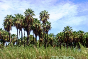 Los Cabos: Day Tour with Tequila and Chocolate Tasting