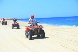Los Cabos: Paseo en camello y quad por el desierto con cata de tequila
