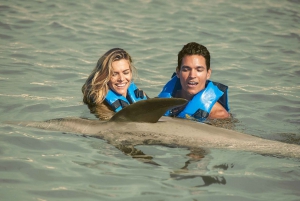 Los Cabos: Dolphin Royal Swim Plus Ticket with Lunch
