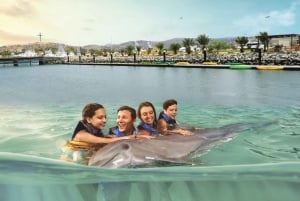 Los Cabos: Dolphin Swim & Ride with Buffet Lunch and Drinks