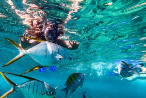 Los Cabos: tour de degustación de tequila, playa Chileno y El Arco