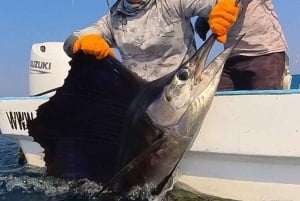 Los Cabos: Experiencia de pesca