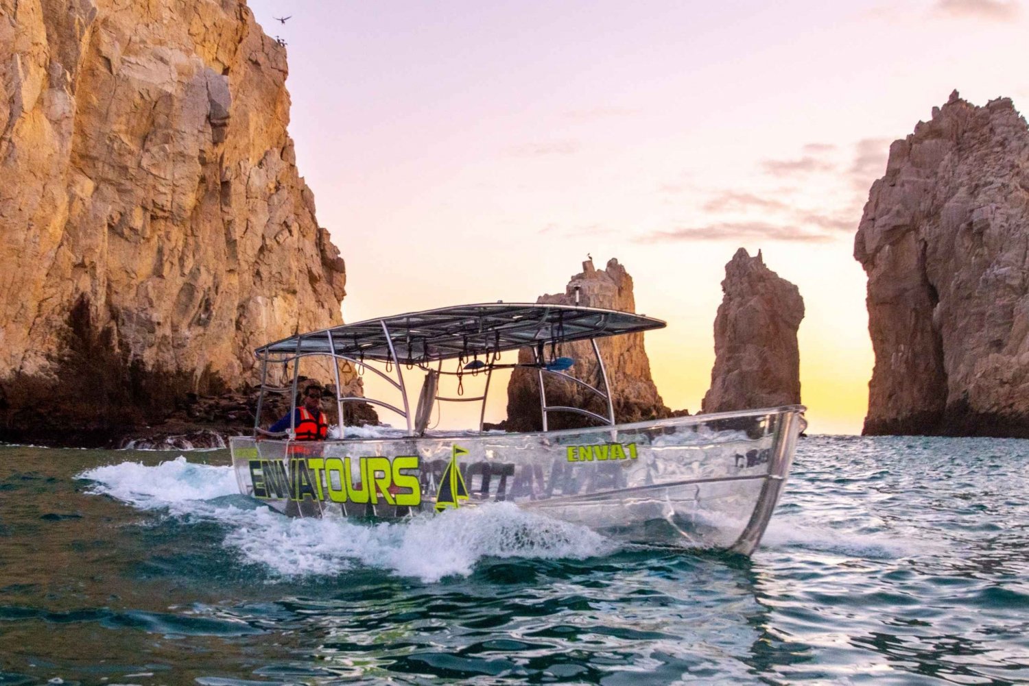 Los Cabos: Glass Bottom Boat Cruise