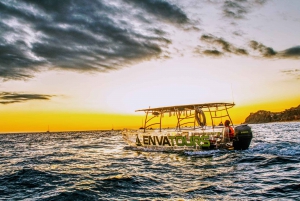 Los Cabos: Glass Bottom Boat Cruise