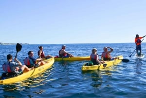 Los Cabos: Glass Bottom Kayak and Snorkel Tour at the Arch