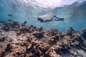 Los Cabos: Excursión en Kayak con Fondo de Cristal y Esnórquel en Dos Bahías