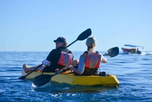 Los Cabos: Excursión en Kayak con Fondo de Cristal y Esnórquel en Dos Bahías