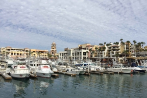 Los Cabos: Half-Day San Lucas and San Jose Tour
