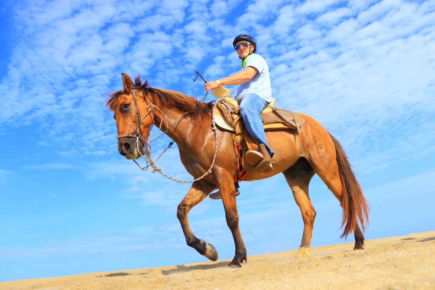 Los Cabos: Horseback Ride on Pacific Beach and Desert