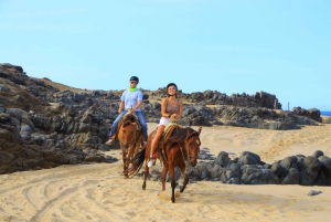 Los Cabos: Horseback Ride on Pacific Beach and Desert