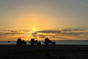 Los Cabos: Aventura inmersiva de 3 días en el desierto