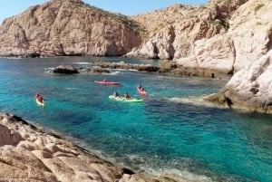 Los Cabos: Kayak y snorkel en dos bahías vírgenes