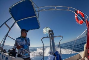 Los Cabos: Parasailing, una nueva perspectiva desde los cielos.