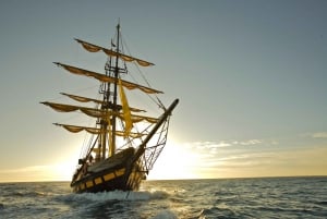 Los Cabos: Pirate Ship Sunset Cruise & Show with Dinner