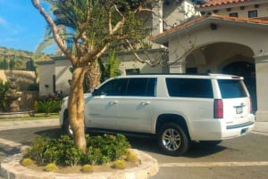 Guilin: Dagstur till Longji risterrasser och Yangshuo