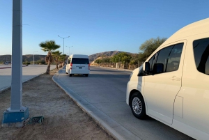Los Cabos: Roundtrip Airport Transfer