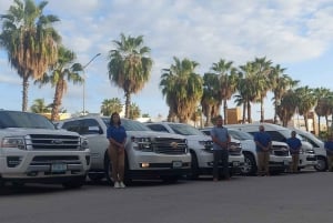 Los Cabos: Crucero de snorkel y excursión a la playa al atardecer