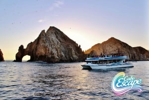 Los Cabos: Sunset Fajitas Dinner Cruise on Cabo Escape