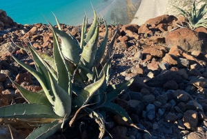 Ruta Los Cabos a Balandra