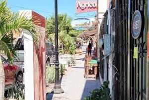 Los Cabos: Todos Santos Pueblo Mágico