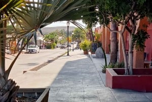 Los Cabos: Todos Santos Pueblo Mágico