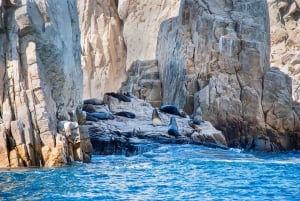 Los Cabos: Tour of rock formations and snorkeling