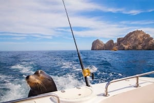 Los Cabos: Tour of rock formations and snorkeling