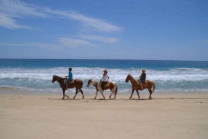 Los Cabos: Tranquil Horse Riding Experience