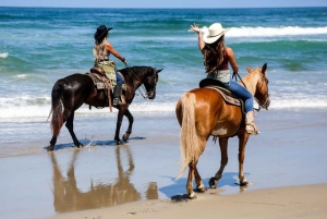 Los Cabos: Tranquila experiencia a caballo