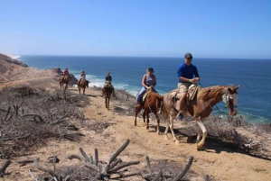 Los Cabos: Tranquil Horse Riding Experience