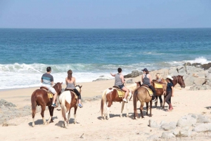 Los Cabos: Tranquil Horse Riding Experience