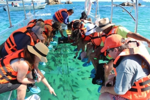 Los Cabos: Transparent Boat Tour with Optional City Tour