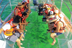 Los Cabos: Transparent Boat Tour