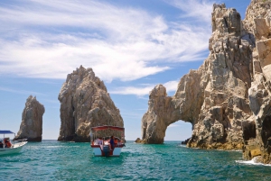 Los Cabos: Vista al Arco Tour Experience