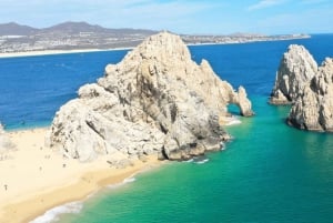 Los Cabos: Avistamiento de ballenas en barco con fondo de cristal