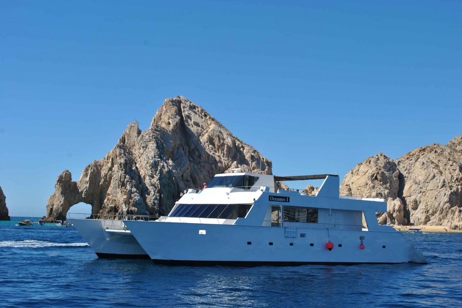 Los Cabos: Whale Watching Cruise with Open Bar