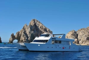 Los Cabos: Tour de avistamiento de ballenas con barra libre