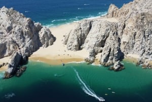 Los Cabos: Tour de avistamiento de ballenas con barra libre