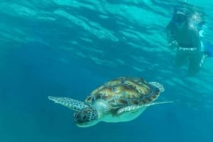 Vela de lujo y snorkel Puerto Aventuras