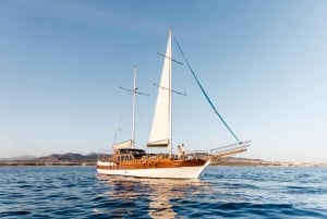 Cabo San Lucas: Sunset Yacht Cruise w/Chef Dinner & Open Bar