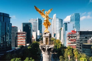 Magical Christmas Lights Private Walking Tour of Mexico City