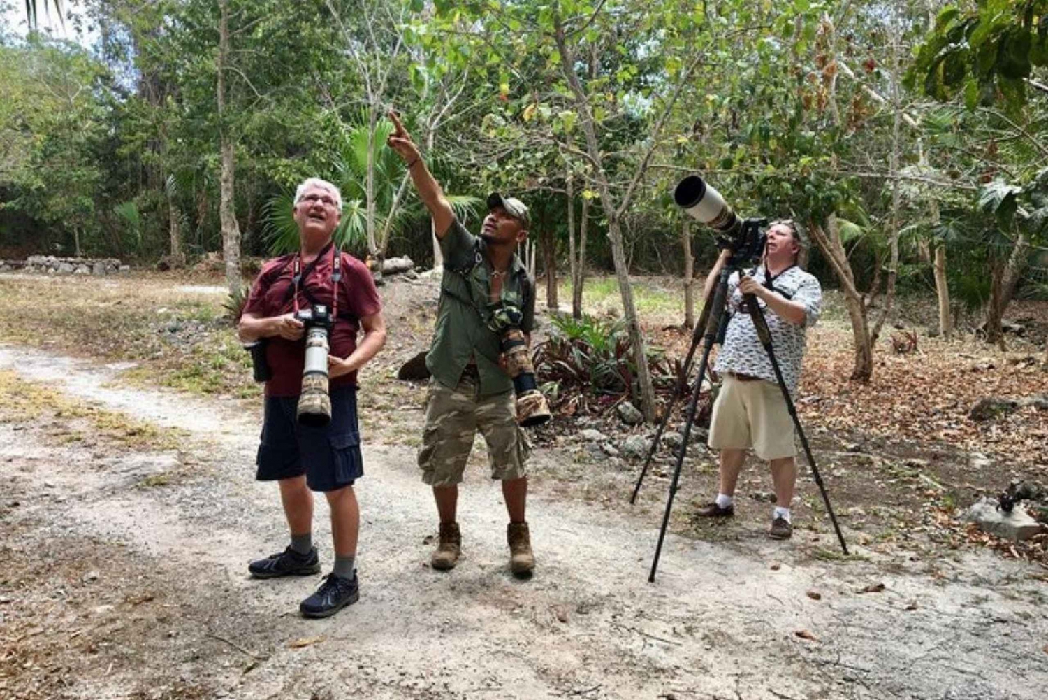 Mahahual: Experiencia de observación de aves en la Costa Maya