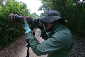 Mahahual: Experiencia de observación de aves en la Costa Maya