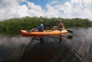 Mahahual: Kayaking in the Mangroves Experience