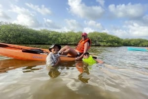 Mahahual: Kayaking in the Mangroves Experience