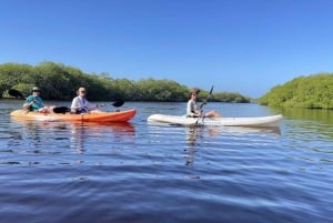 Mahahual: Kayaking in the Mangroves Experience